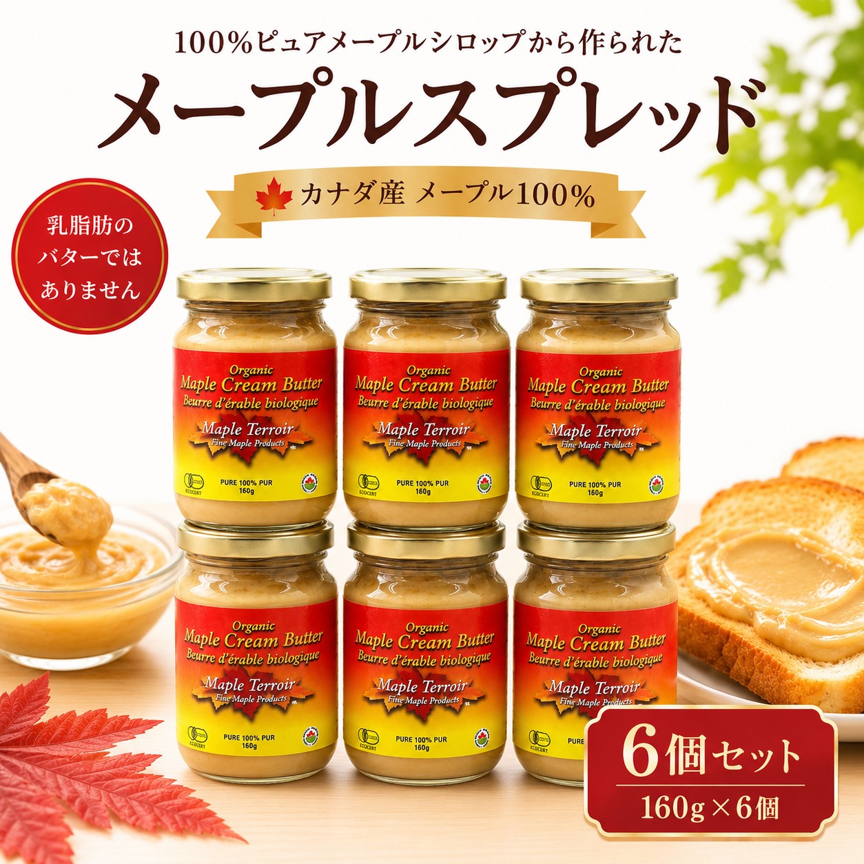 6個セットはこちら