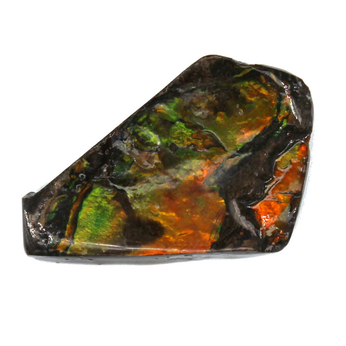 アンモライト かけら 欠片 インディアンのお守り パワーストーン Ammolite 天然石 化石 標本 コーライト社 本物 61