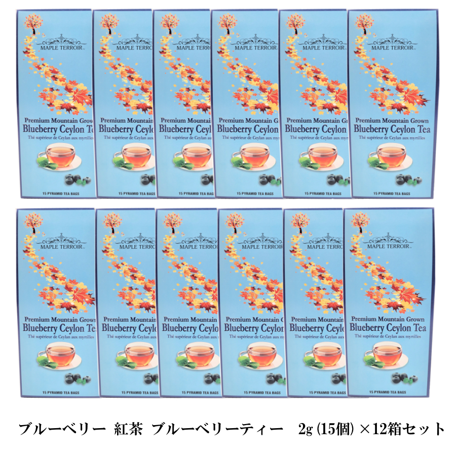 ブルーベリー 紅茶 ブルーベリーティー 2g(15個) ×12箱 お得セット ティーバッグ カナダ 土産 芳醇で高級な香り セイロン フレーバーティ 激安 通販