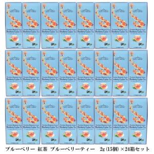 ブルーベリー 紅茶 ブルーベリーティー 2g(15個) ×２４箱 お得セット ティーバッグ カナダ 土産 芳醇で高級な香り セイロン フレーバーティ 激安 通販