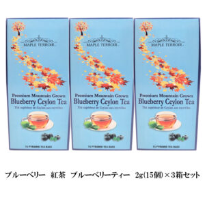 ブルーベリー 紅茶 ブルーベリーティー 2g(15個) ×３箱 お得セット ティーバッグ カナダ 土産 芳醇で高級な香り セイロン フレーバーティ 激安 通販