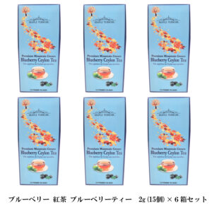 ブルーベリー 紅茶 ブルーベリーティー 2g(15個) ×６箱 お得セット ティーバッグ カナダ 土産 芳醇で高級な香り セイロン フレーバーティ 激安 通販