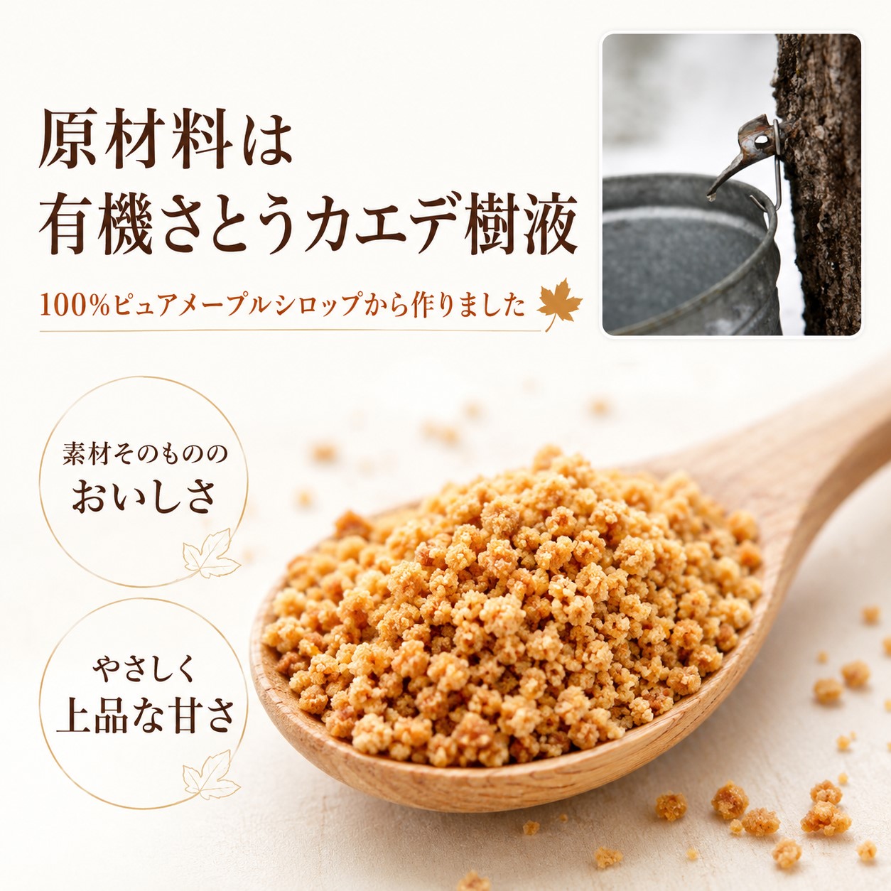 オーガニック メープルシュガー 100g 単品|カナダ産・有機メープルシロップ100% - 画像 (3)