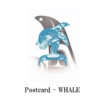 ポストカード ネイティブ アート イラスト デザイン カナダ 先住民 インディアン 雑貨 WHALE シャチ Tradition - 画像 (2)