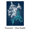 ポストカード ネイティブアート イラスト デザイン カナダ 先住民 インディアン 雑貨 Orca Family オルカ シャチ - 画像 (2)